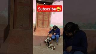 Dog lover nandini | nandini dog lover #viralvideo #minivlog #newsong shafa @NandiniBanerjee-z9r