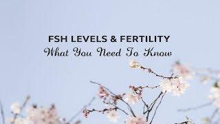 FSH & Fertility - What You Need To Know