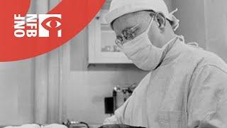 The Fight: Science Against Cancer