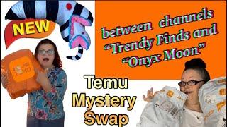 Temu Mystery Swap Haul with @Onyxmoon83 Fun, fun, FUn!