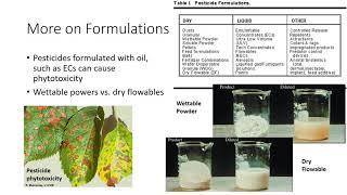 Using Pesticides in an IPM Program