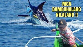 MGA DAMBUHALANG ISDA  GRABE ANG LALAKAS NITO | WAHOO MAHI-MAHI