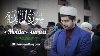 @MuhammadloiqQori MUHAMMADLOIQ QORI | MOIDA SURASI | GO‘ZAL QIROAT | МУҲАММАДЛОИҚ ҚОРИ