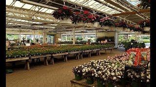 Hicks Nurseries in Westbury Long Island