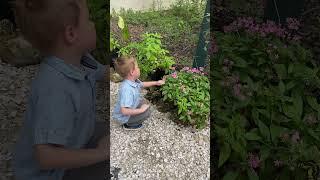 Grandson and butterfly  #motivation #happy #family #video #usa #сша #beautiful #youtube #wow