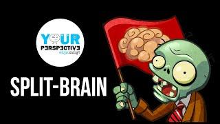 EP81 - Split-Brain