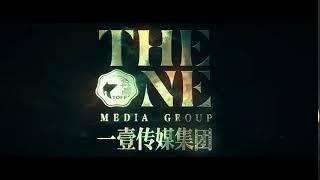 The One Media Group Company Limited (2016)