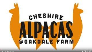 Welcome To Cheshire Alpacas