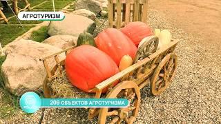 «Первый Ярославский» к выставке «Золотая осень» подготовил презентационный ролик Ярославской области