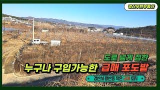 경산시 평산동 작은 포도밭 급매 / 주말농장용 누구나 구입가능한 토지