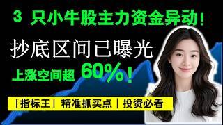 3只小牛股主力资金异动，上涨空间超60%，PLTR,UNH喊单群策略，NVDA财报，SOXL也有希望 #tsla #nvda #trading #trending #stockmarket #pltr