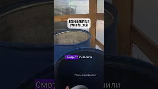 Полив в теплице. Наш телеграмм канал - «Реальный садовод» #питомникрастений #бизнесснуля #дача