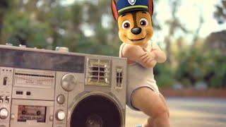 Paw Patrol & Baby Dance - Coffin Dance Meme (Parody)