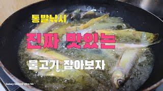 통발낚시 늦가을 진짜 맛있는 물고기 잡아 술안주 먹어보자  통발 자급자족