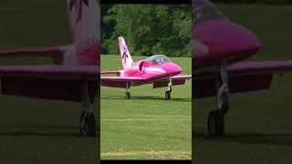 L-39 Albatros Wheelie Landing #aviation #rc #rcplane