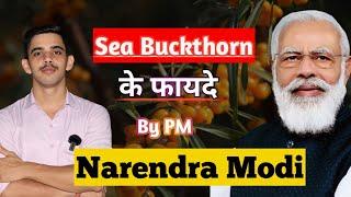 Sea Buckthorn के फायदे by Narendra Modi || Rishabh Singh || #seabuckthorn #narendramodi