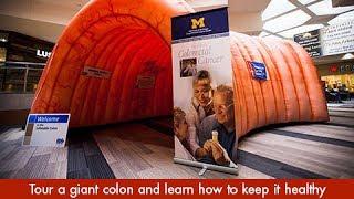 Tour a Giant Colon with a University of Michigan Health System Expert