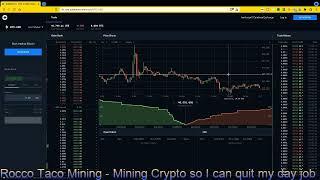 Rocco Taco Mining Live Stream