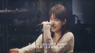 ZARD - Don't you see ! (2004 What a beautiful moment LIVE ver.)