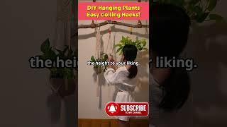 DIY Hanging Plants: Easy Ceiling Hacks!