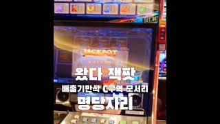 “슬롯머신이 미쳤다... 역대급 터짐” 전날징후 90만 120만 본잭팟 1천만 잭팟 세금 22%