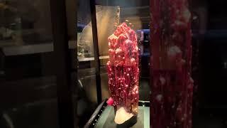 Уникальный кристалл Турмалин на выставке в Аризоне #sunsveti#gems #jewellery #shorts #nature #art