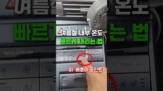 이 버튼 누르면 차 안이 '겨울왕국' 됩니다(5초 컷 !)