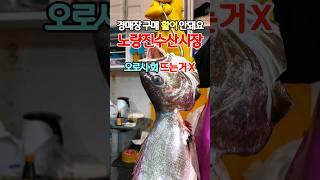 노량진수산시장 고발합니다?? 소매상 구매는 OK @ 경매장 도매 구매는 NO, 소비자는 봉?? 그러다 강동수산시장 꼴 나겠다!!