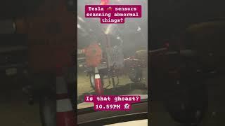 Tesla scanning abnormal things? No human was outside#tesla #shorts #trending #scary #teslaghost