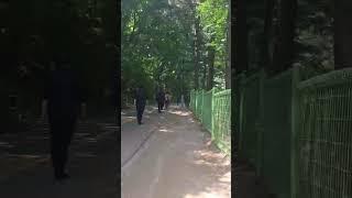 꽃내음 풀내음 흙내음 맡으며 월미산 한바퀴 걷기   #월미공원 #월미산 #어싱 #맨발걷기하기좋은곳
