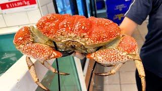 Eating MONSTER Tasmanian KING CRAB & LOBSTER at Australia's LARGEST Fish Market - Sydney Fish Market