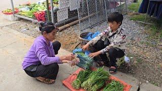 Poor boy - Harvesting chives to sell at the market - Planting more vegetables in the garden