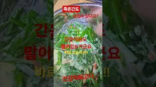 간건강정보#좋은음식