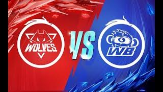 【杜比全景声】KPL春季赛总决赛 重庆狼队 vs 北京WB 5月13日 【开幕式】