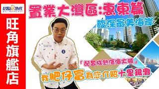 碧陶居地產 - 置業大灣區:碧桂園十里銀灘 - 何遠東推介