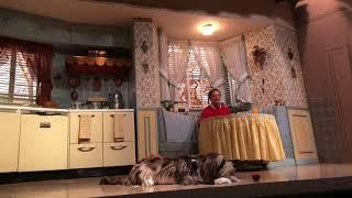 Carousel Of Progress Last Show Of The Day With mrawesomedude808