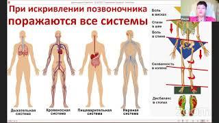 Методика бесконтактного исцеления позвоночника