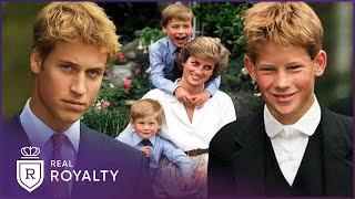 William & Harry: The Years Following Diana's Death