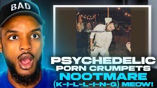  Psychedelic P*rn Crumpets - Nootmare (K-I-L-L-I-N-G) Meow! REACTION