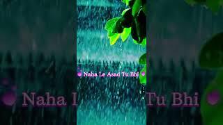 Muhabbat ka sawan hai Gulzare Millat #gulzaremillat #newshorts #ursetajushshariya  #asad