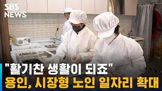 "활기찬 생활이 되죠"…용인시, 시장형 노인 일자리 확대 / SBS