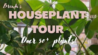 HOUSEPLANT TOUR  2023 | 50+ plant collection tour + winter plant tour