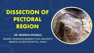 Dissection of Pectoral region- Pectoralis major, Pectoralis minor, Serratus anterior, Subclavius