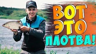 Вот такая ПЛОТВА здесь клюет! Ловля ПОДЛЕЩА и ПЛОТВЫ на Восточной Березине, Беларусь!