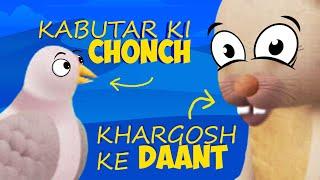 Kyon Allah nay Kabotar ko chonch diya| Moral Cartoon for Kids Sabeel Toons