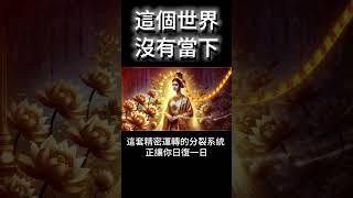 這個世界，沒有當下！「絕對視界」的覺醒奧義，「一」的視角帶你進入最高境界 #開悟 #覺醒