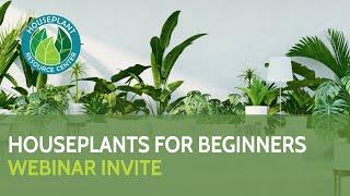 Houseplants for Beginners Webinar Invitation | Houseplant Resource Center