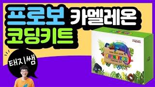 프로보 카멜레온코딩키트 vs 말랑말랑코딩여행(ft. 엔트리 연결)