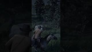 Red Dead Redemption Gameplay-( Arthur interfering in a fight)