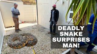 DEADLY SNAKE SURPRISED HIM!